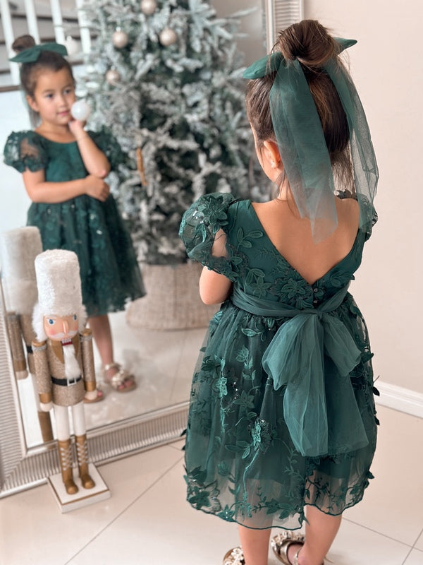 Vienna Girls Green Embroidery Dress